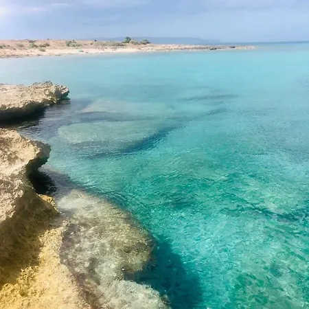 Cactus A San Lorenzo فيلة